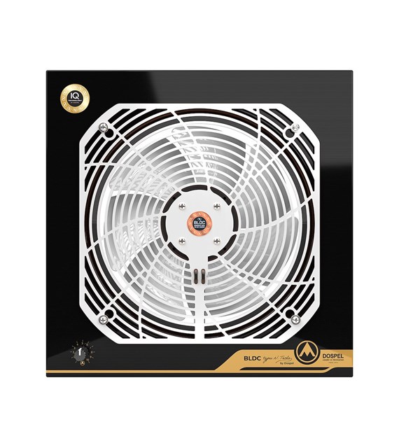 WOKS 300 SILVER BLDC N.TESLA wywiewny