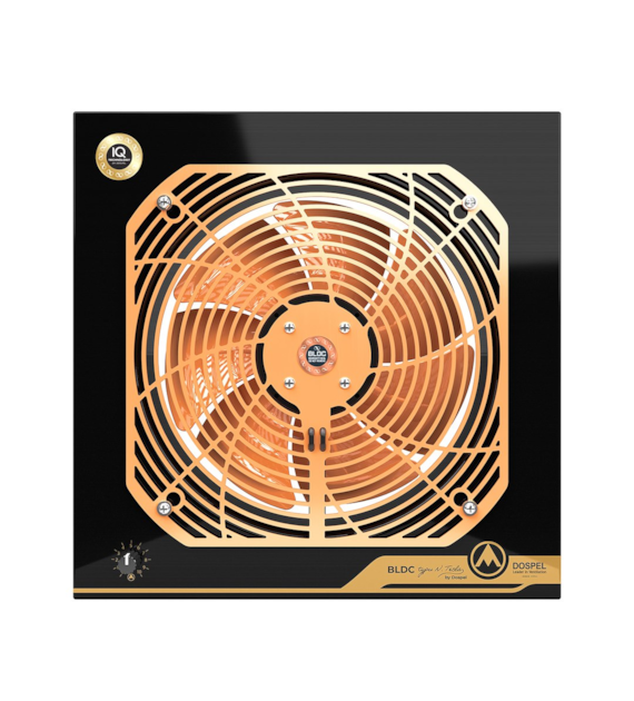 WOKS 450 GOLD BLDC N.TESLA rewersyjny